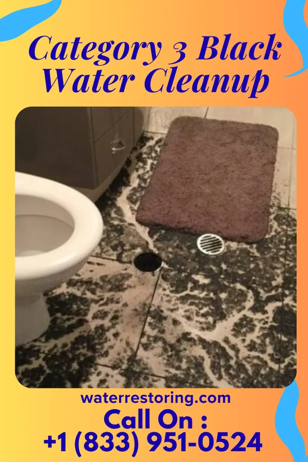 Category 3 Black Water Cleanup in Hopatcong, NJ